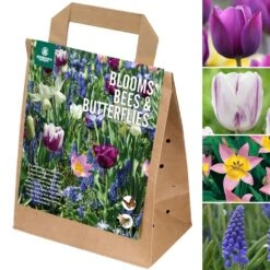 Blooms, Bees & Butterflies Bulb Mix - Blue Shades Mix (Pack Of 25)
