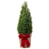 Box Pyramid Topiary Tree In Festive Christmas Wrapping