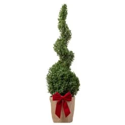 Box Spiral Topiary Tree In Festive Christmas Wrapping
