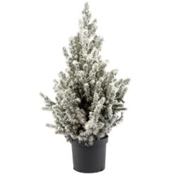 Christmas Tree - Picea Conica With Snow Effect