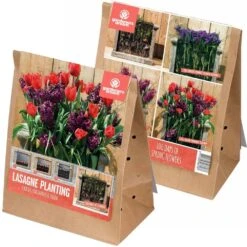 Lasagne Planting Bulb Mix - Red And Purple (Pack Of 40)