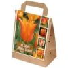 Shades Of Colour Bulb Mix - Tulip Orange Shades (Pack Of 30)