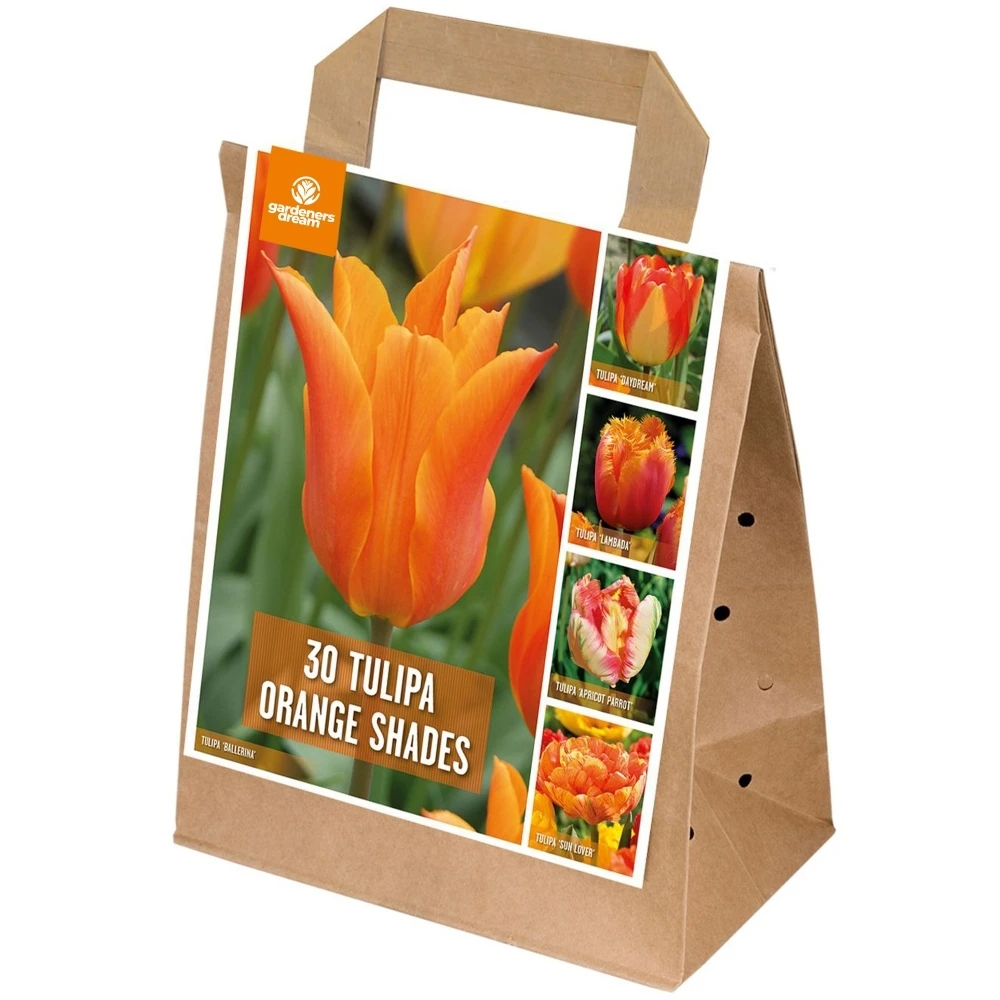 Shades of Colour Bulb Mix - Tulip Orange Shades (Pack of 30) Shades Of Colour Bulb Mix - Tulip Orange Shades (Pack Of 30) -Garden Plant Seed Store shades of colour bulb mix tulip orange shades pack of 30 p6897 49468 image