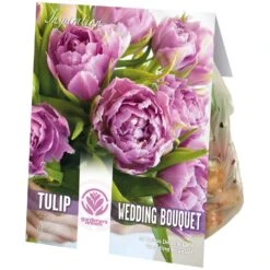Spring Bulb Mix - Tulip Double Wedding Bouquet