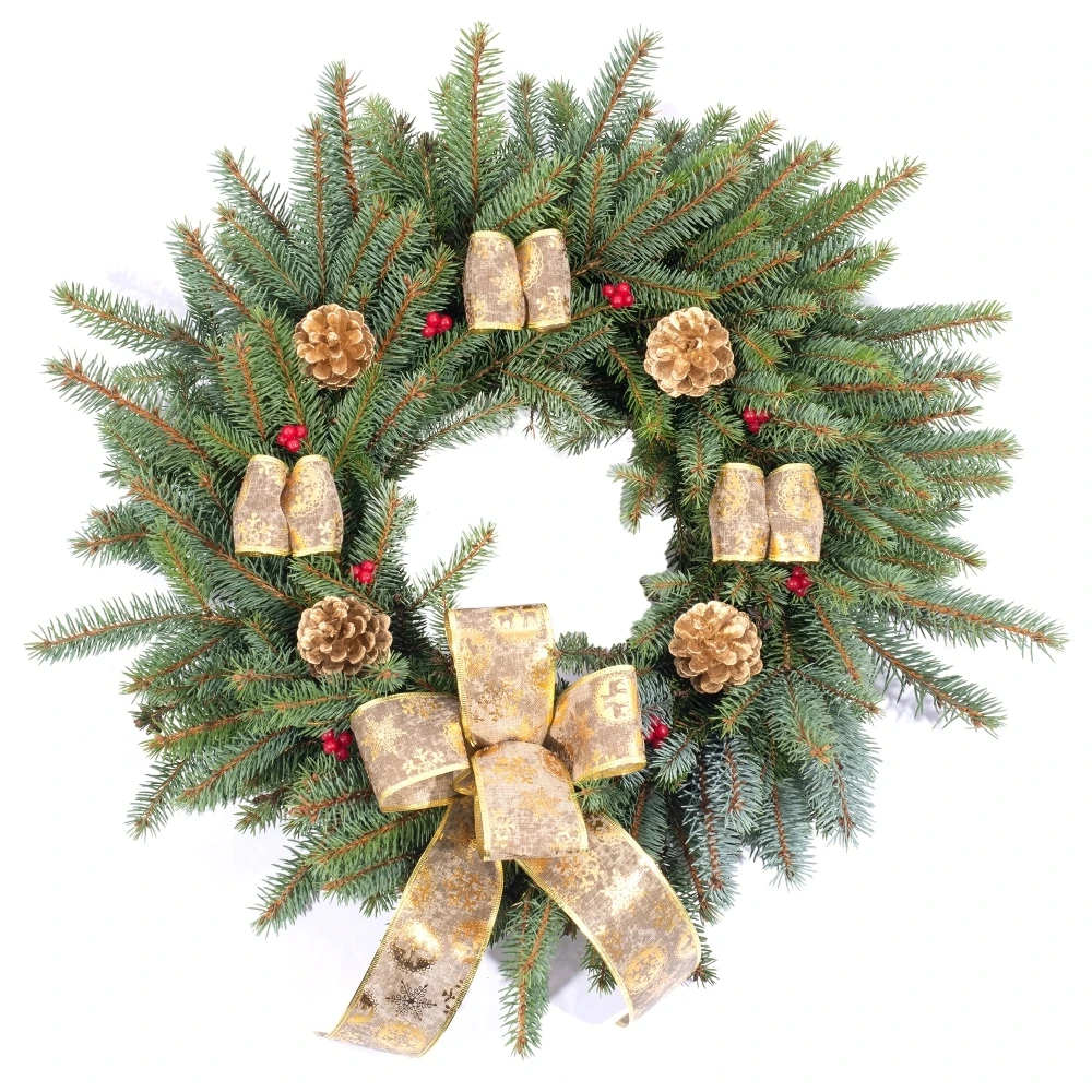 Spruce Christmas Wreath (Gold) Spruce Christmas Wreath (Gold) -Garden Plant Seed Store spruce christmas wreath gold p4458 51758 image